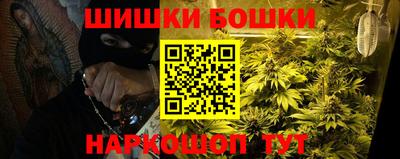 соль ск Новодвинск