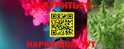 соль ск Новодвинск