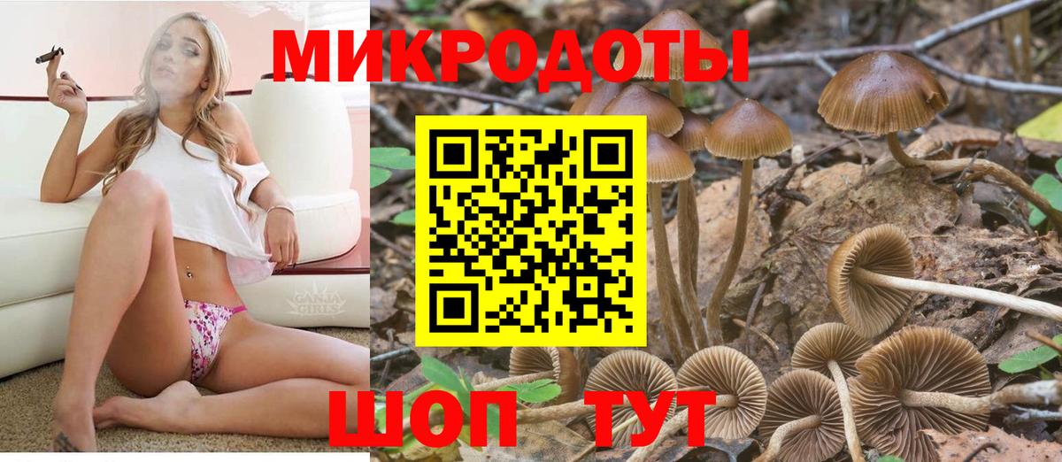 Среднеуральск  Псилоцибиновые грибы мицелий  Вход с VPN 